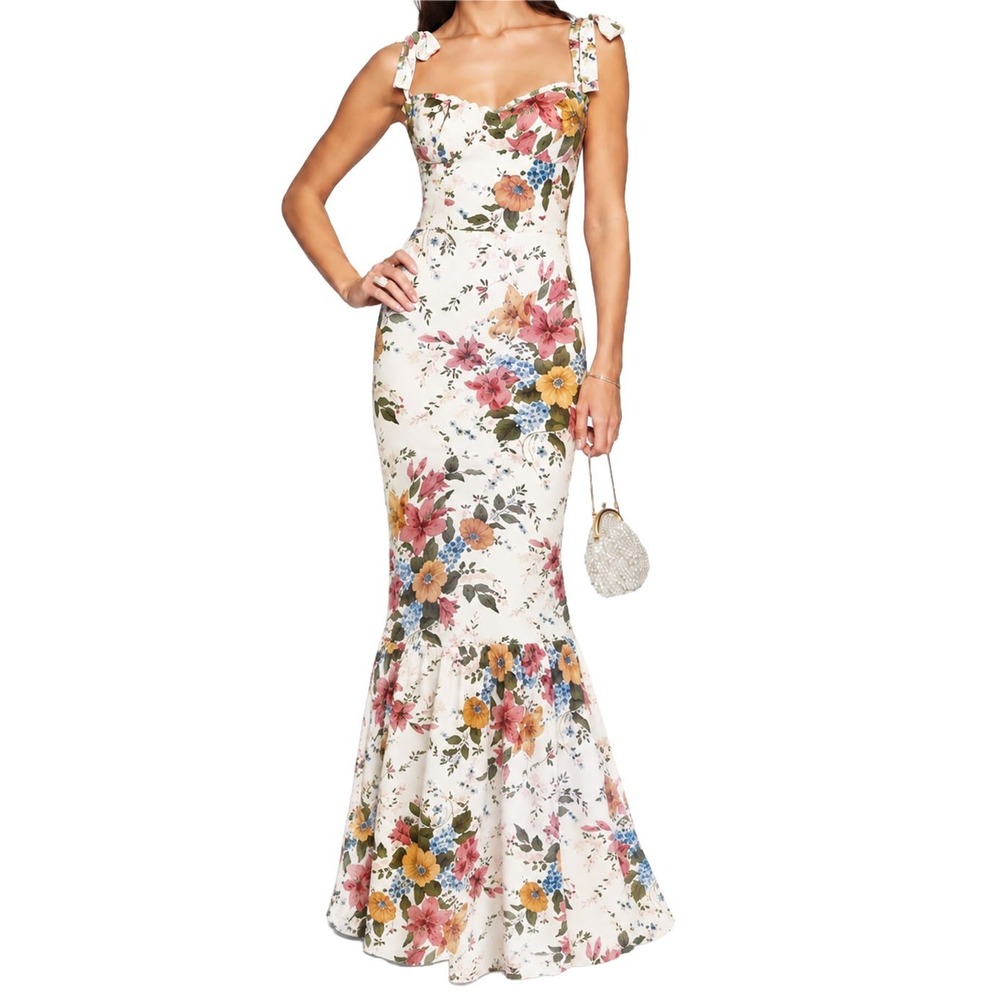 Reformation Jasen Maxi Dress Marie Antoinette Floral Romantic Boho 0